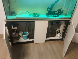 Pecera 300L con mueble blanco