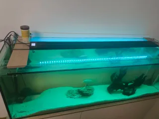 Pecera 300L con mueble blanco