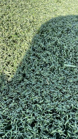 Césped artificial decorativo