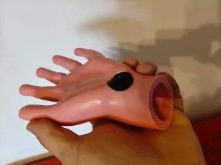 Mano silicone esposizione