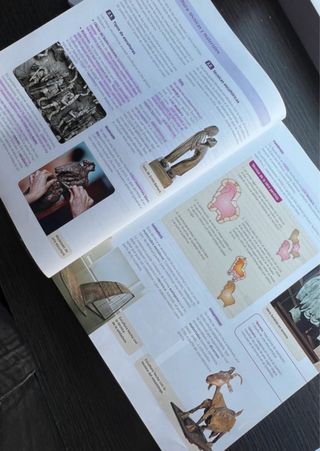 Historia Del Arte: Libro