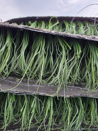 Césped artificial verde