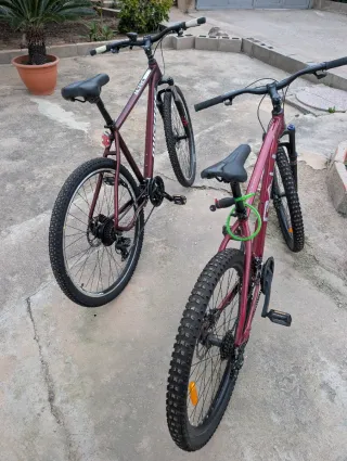 2 Bicicletas Montaña 29 Talla L y M