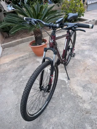 2 Bicicletas Montaña 29 Talla L y M