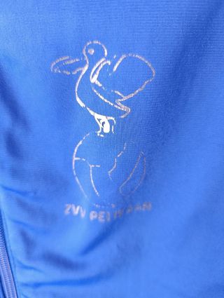 Adidas Chaqueta Deportiva ZVV Pelikaan Futbol