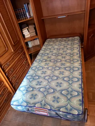 Armario de madera con cama abatible
