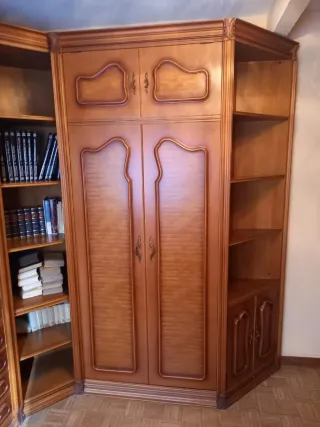 Armario de madera con cama abatible