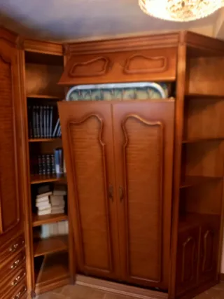 Armario de madera con cama abatible