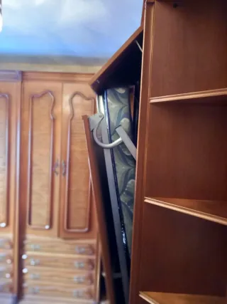 Armario de madera con cama abatible