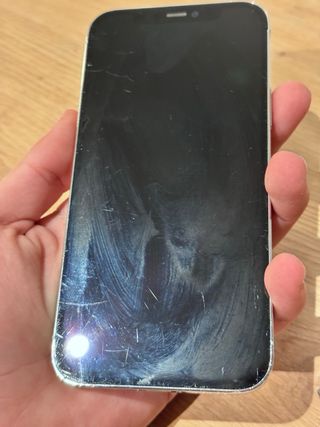 iPhone 12 Pro Blanco Plata