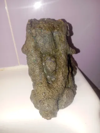 Tronco Cueva Refugio Peces Resina