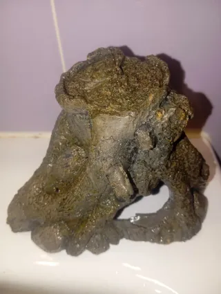 Tronco Cueva Refugio Peces Resina