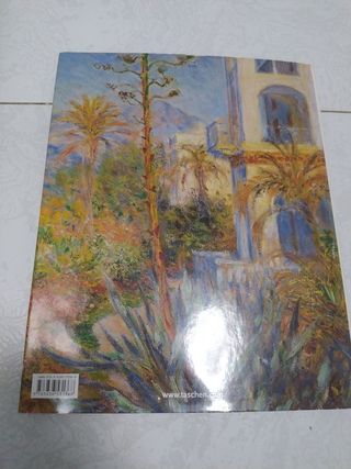 Claude Monet 1840-1926. La perception de la cara..