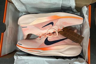 Nike Pegasus 41