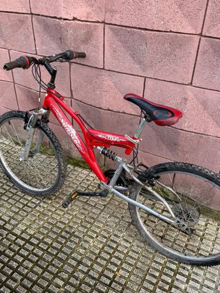 Bicicleta de Montaña
