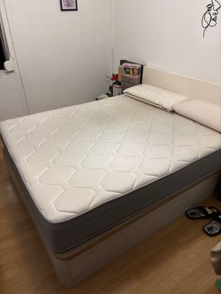 Cama Canapé + Almohada Viscoelástica