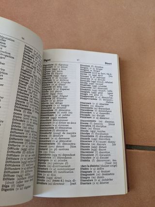 Vocabolario Italiano Francese piccolo LArus