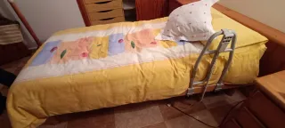 Cama articulada con agarradera, sin colchón