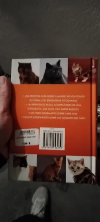 GATOS: LA MEJOR GUIA FELINA