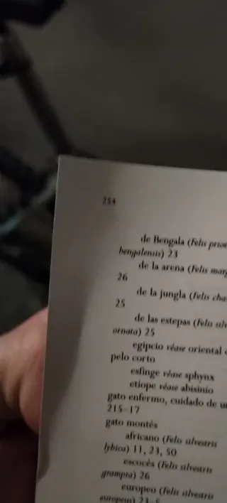 GATOS: LA MEJOR GUIA FELINA