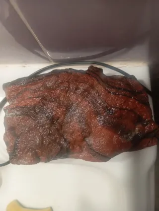 Roca térmica para reptiles 6W