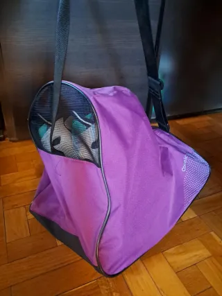 Patines en línea Talla 39