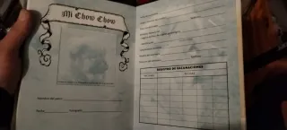 Libro perro chow chow