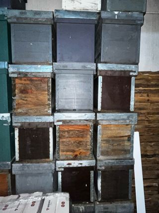 Colmenas Layens 12 cuadros