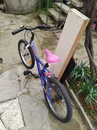 Bicicleta Montaña Infantil Decathlon