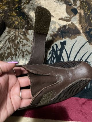 Zapato Pepe Menargues Marrón