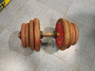 Mancuernas Salter 2x20kg