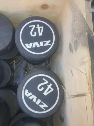 Mancuernas Ziva 42 kg (par)