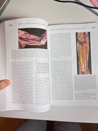 Fisioterapia invasiva + acceso web (2ª ed.)