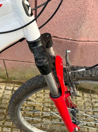 Bicicleta de Montaña