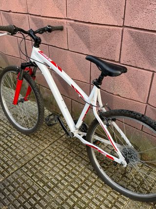 Bicicleta de Montaña