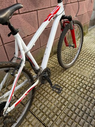 Bicicleta de Montaña