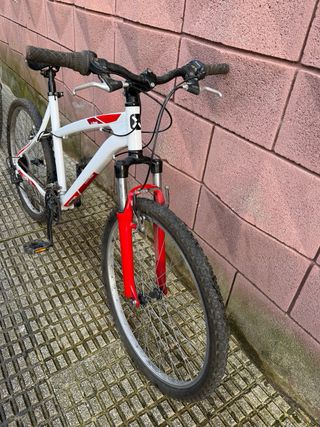 Bicicleta de Montaña