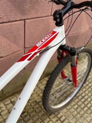 Bicicleta de Montaña