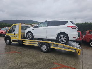 Grúa  En venta