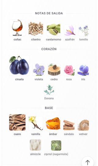 Cuir Elite - Extrait de parfum - 100 ml