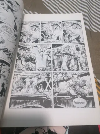 Lote de 12 cómics de Torpedo