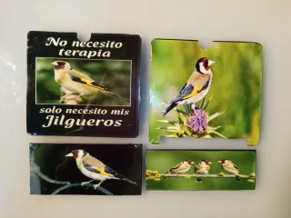 Tapacelos, placas decorativas pájaros Jilgueros