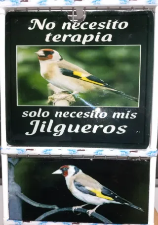 Tapacelos, placas decorativas pájaros Jilgueros