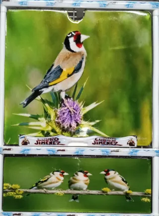 Tapacelos, placas decorativas pájaros Jilgueros