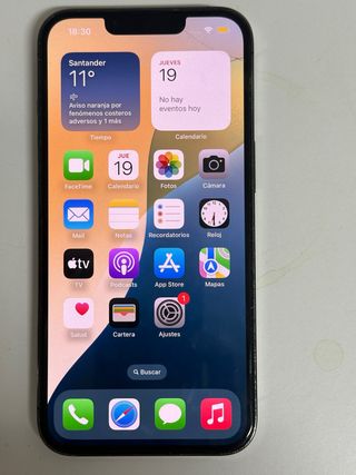 iPhone 13 Pro Gris/Plata
