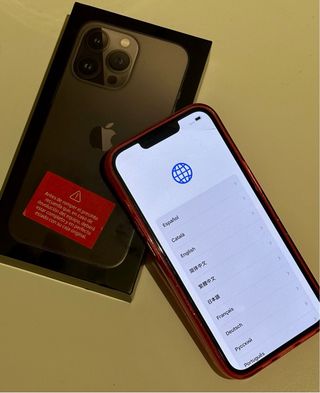 iPhone 13 Pro Gris/Plata