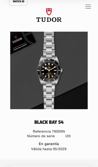 Tudor Black Bay 54