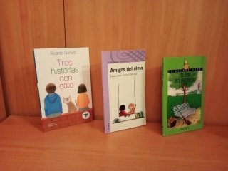1 € Libros 8 años