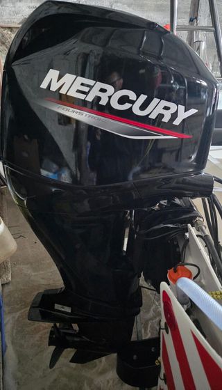 Barco Cory Explore 4.20m + Motor Mercury 50cv