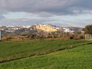 Arrendar o Alquiler de tierras de regadío
